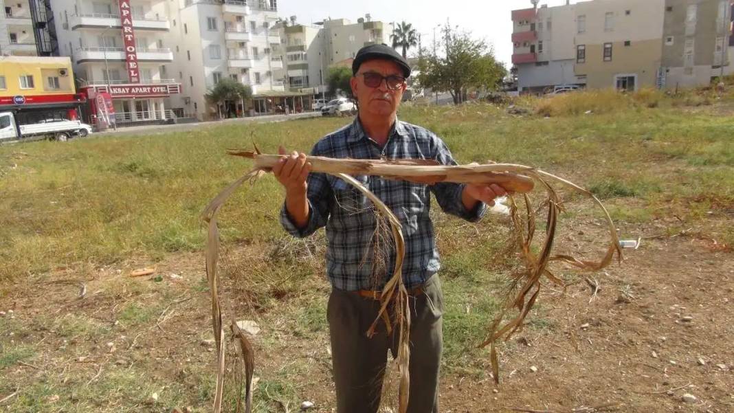Mersin’de Hisleriyle Su Kaynağı Bulan Dayıcık Telefonlara Yetişemiyor! 1